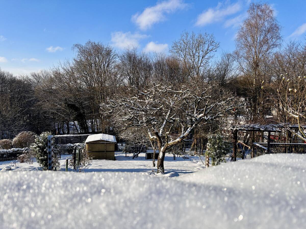 Winterlandschaft im Kleingärtnerverein Schneebedeckte Gärten und Bäume im Kleingärtnerverein Westerbusch