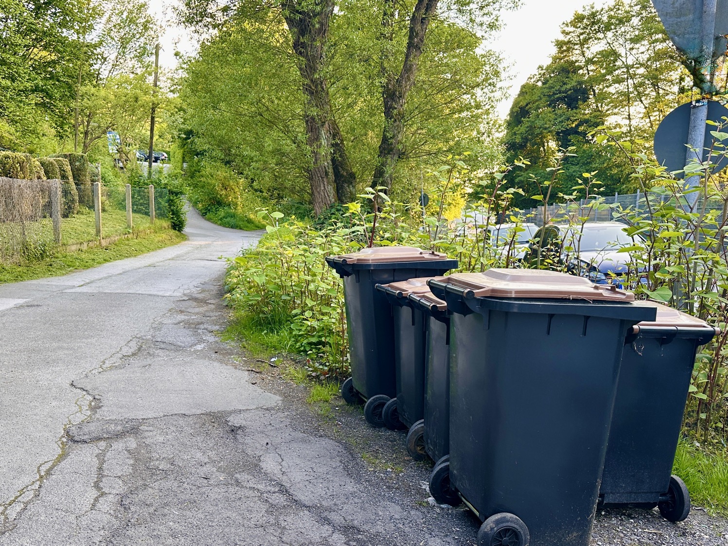 Neuer Abstellort der Biotonnen vor der Einfahrt Biotonnen am neuen Abstellort vor der Einfahrt des KGV Westerbusch