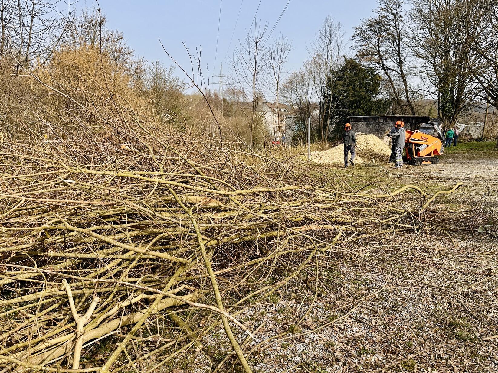 Gemeinschaftsarbeit: Strauch- und Gehölzarbeiten Großer Haufen abgeschnittener Äste und Zweige, dahinter Helfer an einem Häcksler in der Gartenanlage