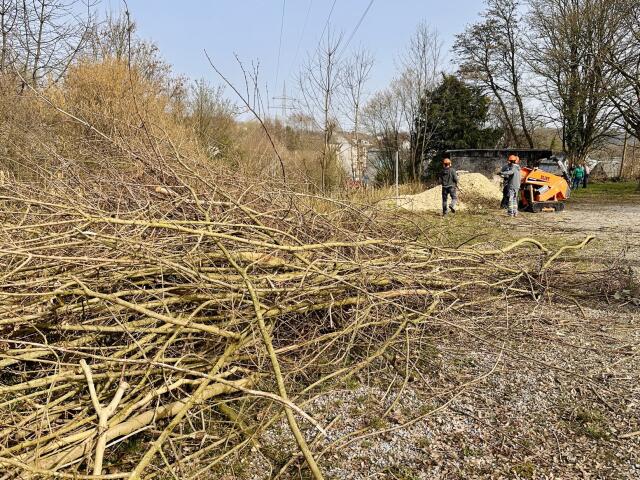 Gemeinschaftsarbeit: Nachholtermine am 21. und 28. November 2026 Großer Haufen abgeschnittener Äste und Zweige, dahinter Helfer an einem Häcksler in der Gartenanlage